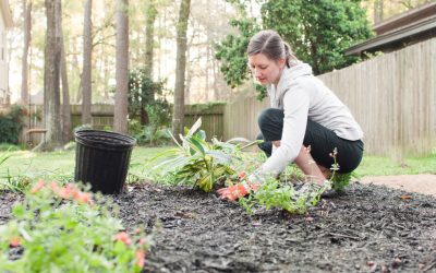 Quels sont les éléments intéressants à placer dans un jardin ?