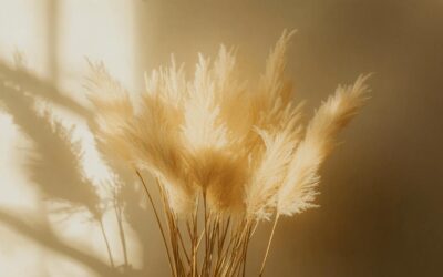 L’art du bouquet : sublimez votre interieur avec des fleurs sechees de pampa